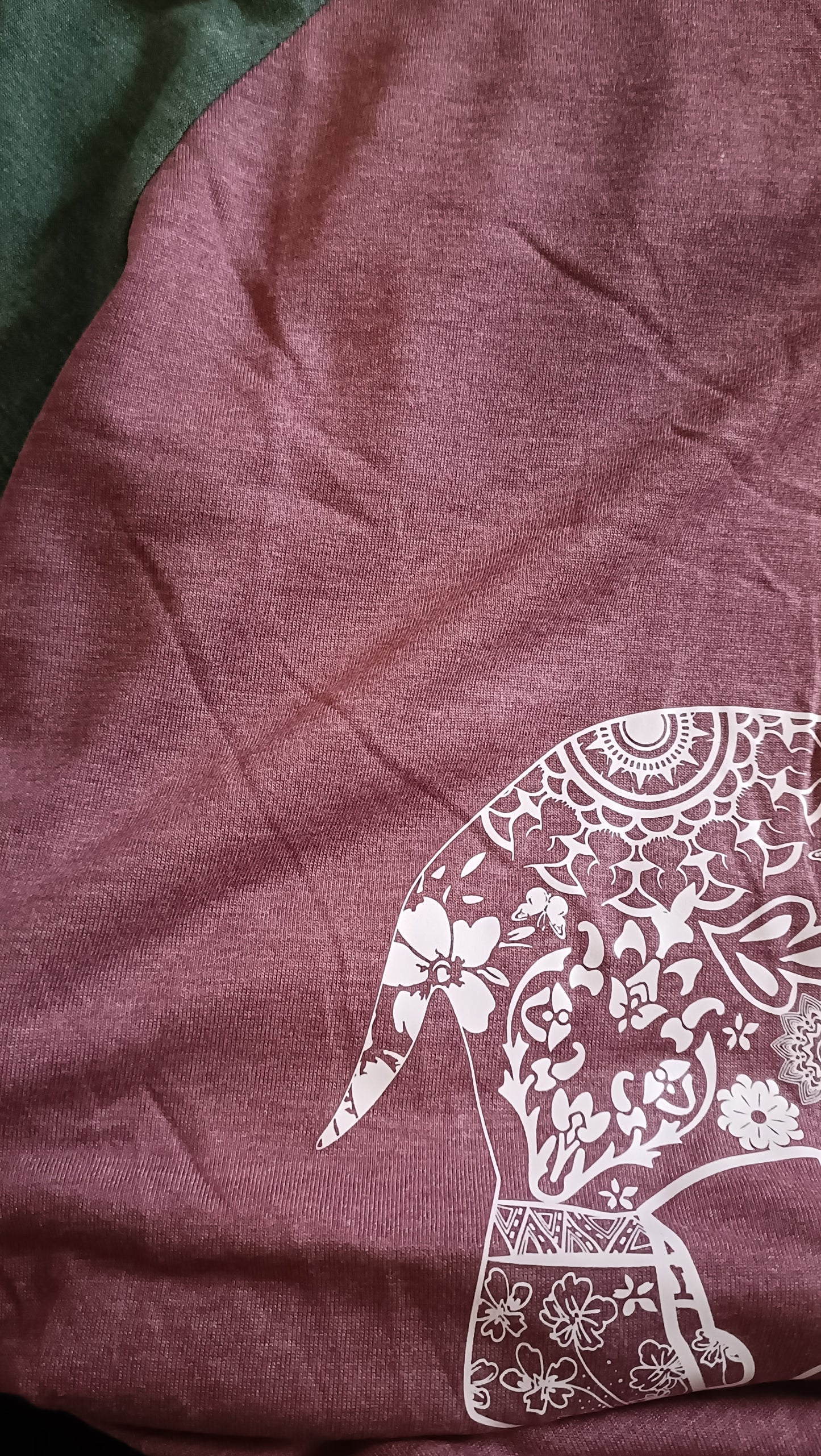 Elephant T-Shirt with Long Raglan Sleeves