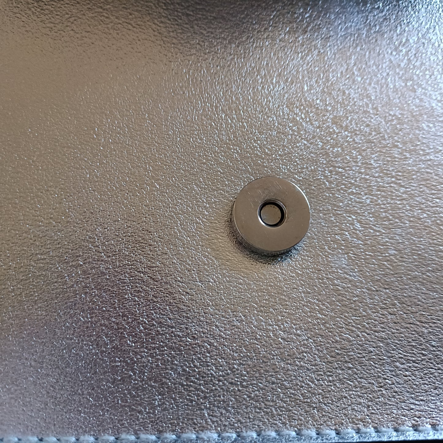 Silver Shoulder Bag