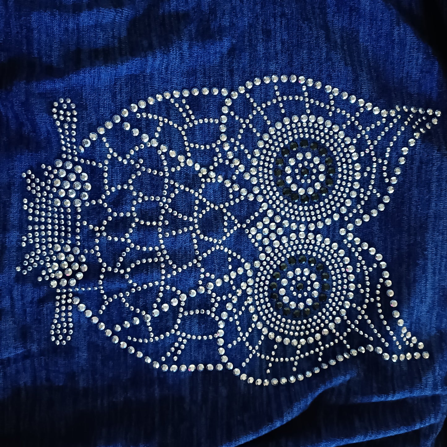 Blue Top with Sparkly Owl Motif and Zip Detail