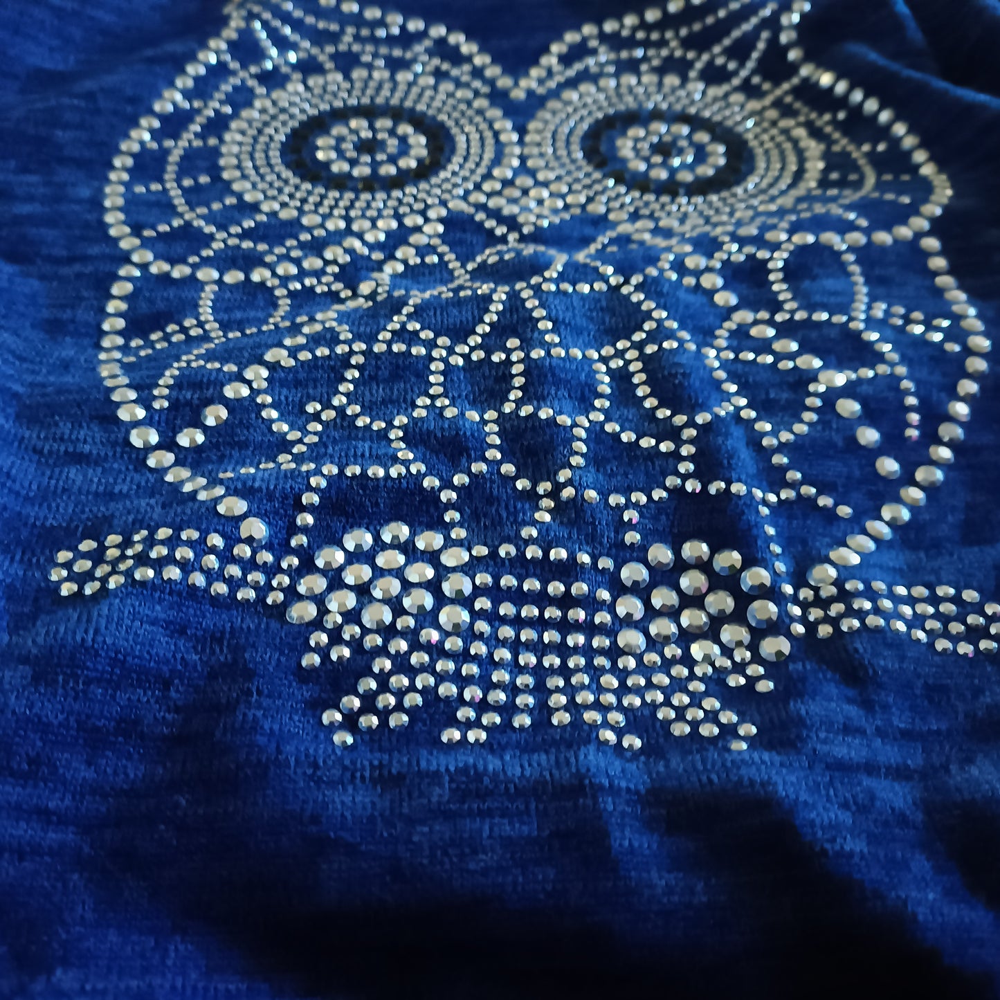 Blue Top with Sparkly Owl Motif and Zip Detail