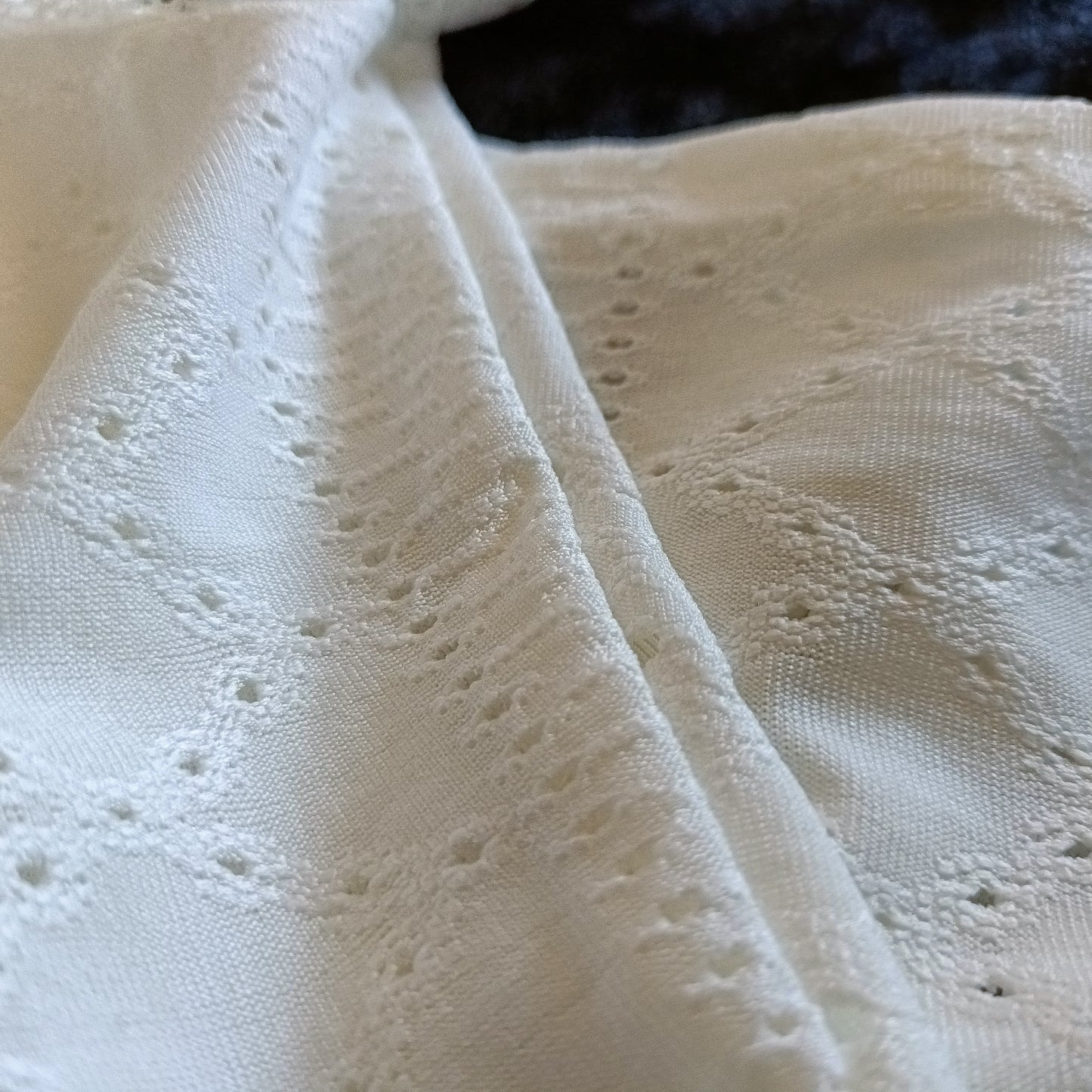 Eyelet Embroidery Top with Lace Panel
