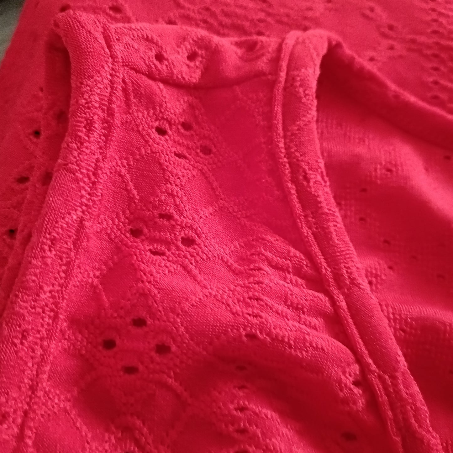 Red Sleeveless Eyelet Embroidery Top