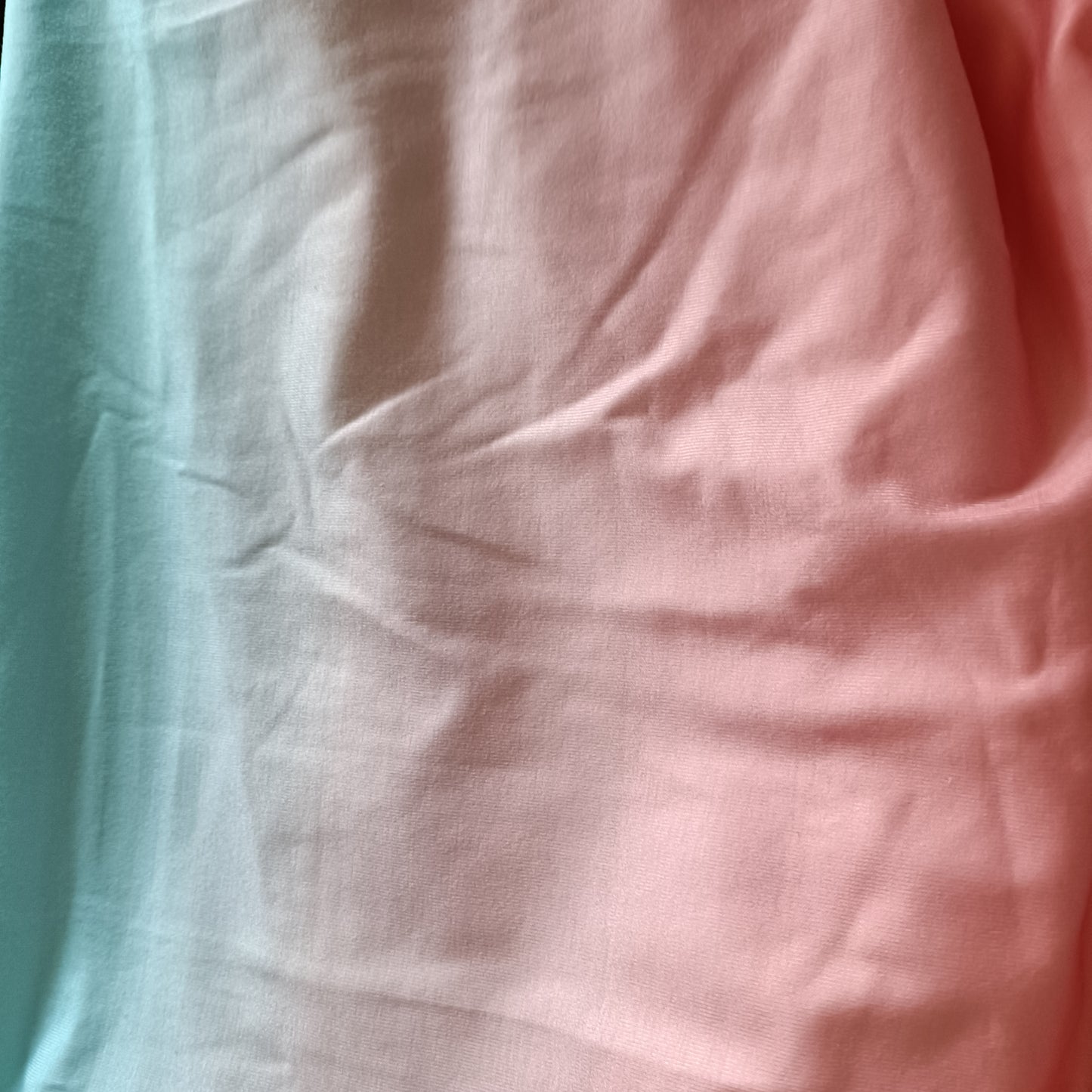 Blue/Pink Ombre T Shirt with Palm Tree Detail