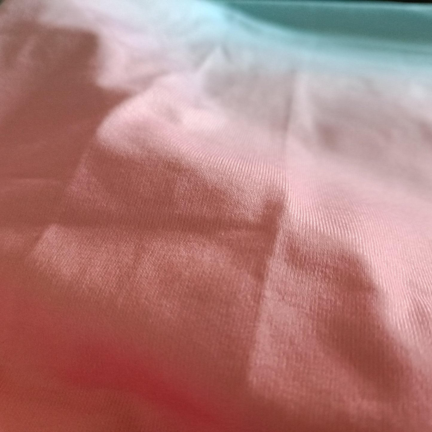 Blue/Pink Ombre T Shirt with Palm Tree Detail