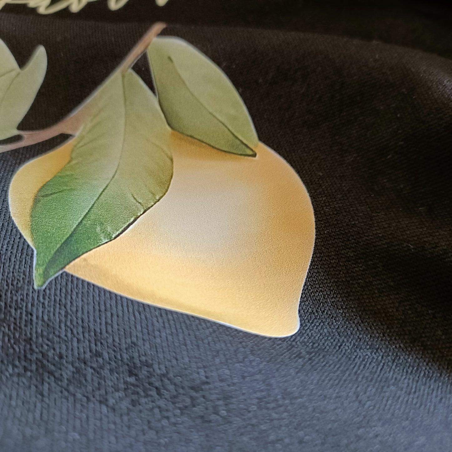 Black Sweatshirt with Limoncello Graphic