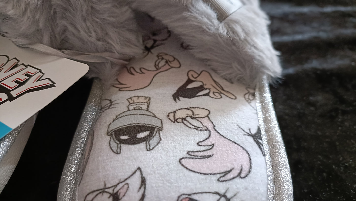 Looney Tunes Slippers