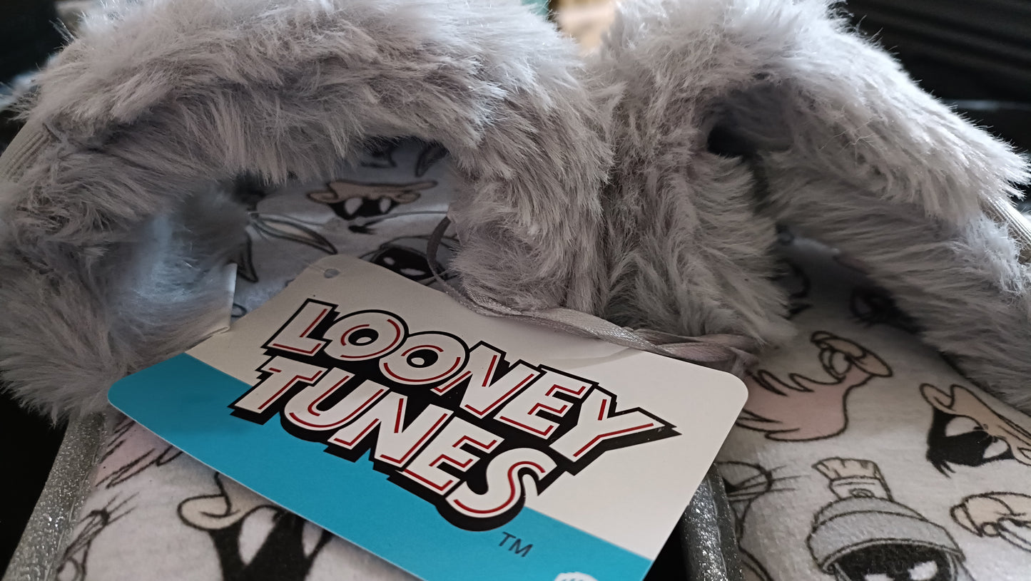 Looney Tunes Slippers