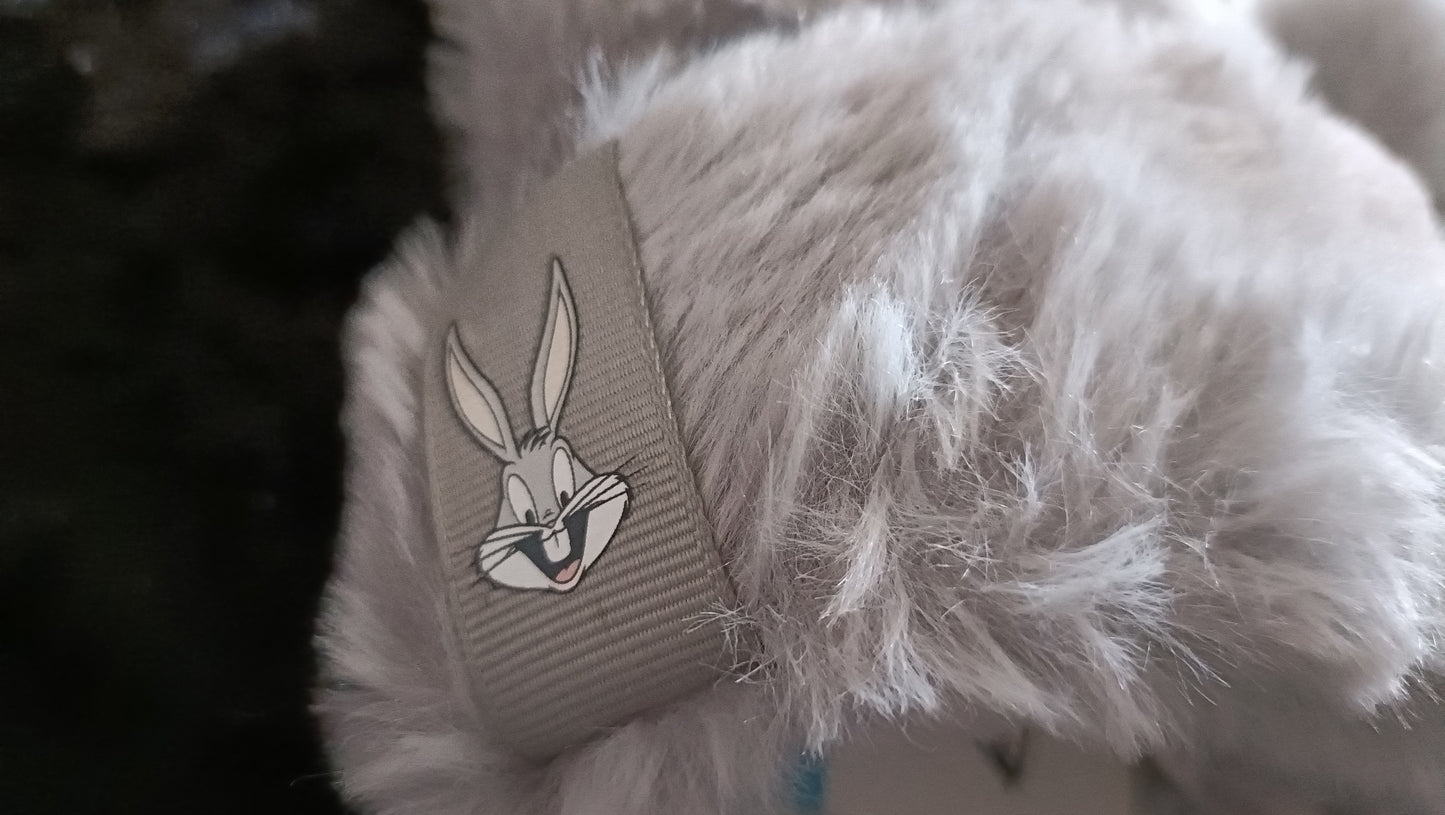 Looney Tunes Slippers
