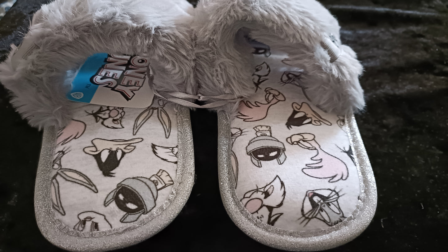 Looney Tunes Slippers