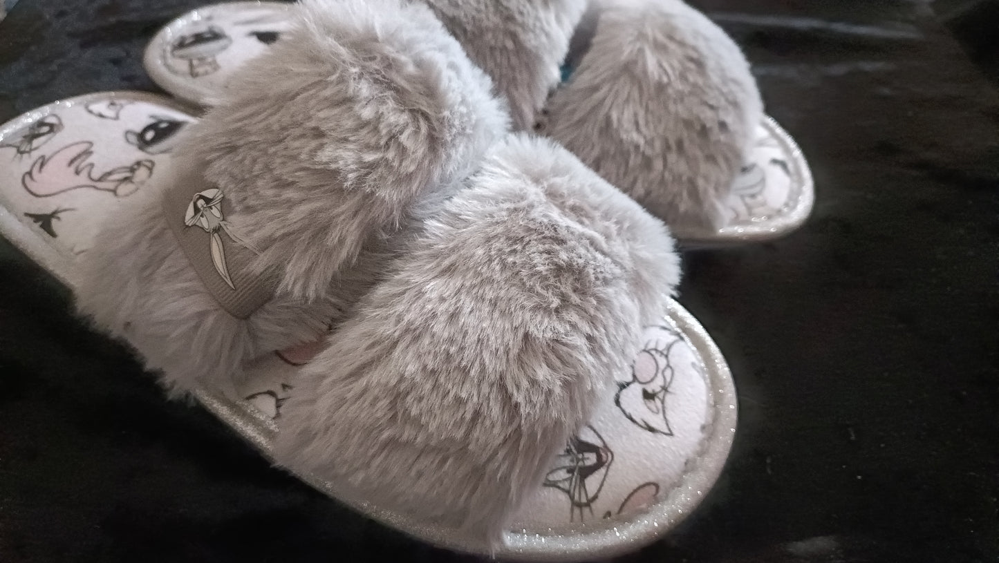 Looney Tunes Slippers