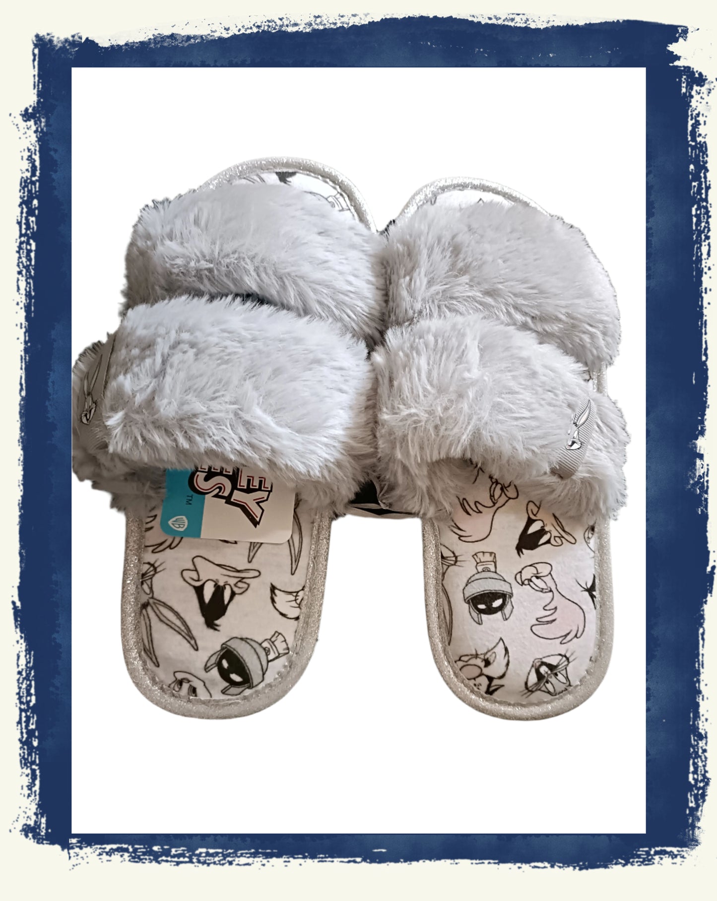 Looney Tunes Slippers