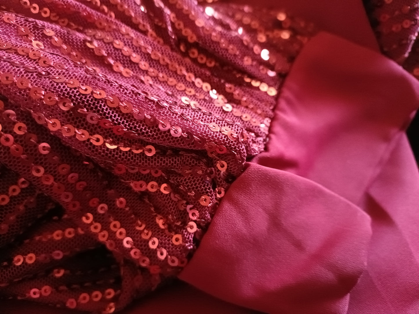 Red V Neck Top with Long Sequin Sleeves