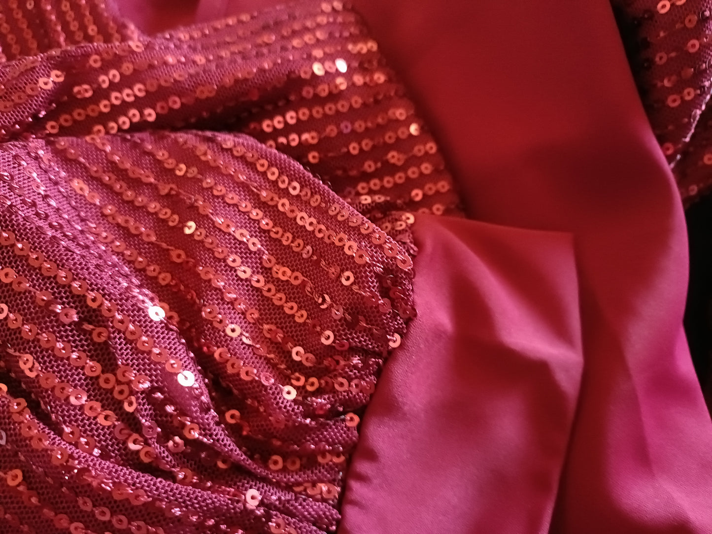 Red V Neck Top with Long Sequin Sleeves