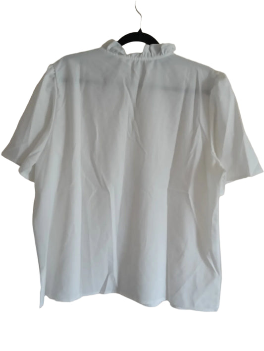 White Blouse with Multi Colour Embroidery Detail