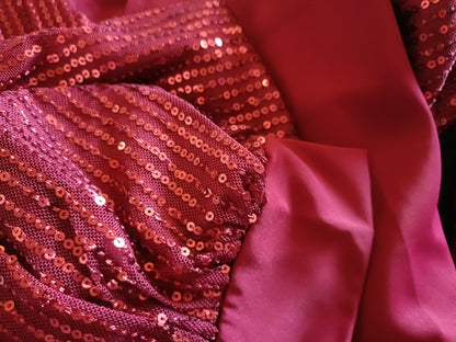 Red V Neck Top with Long Sequin Sleeves