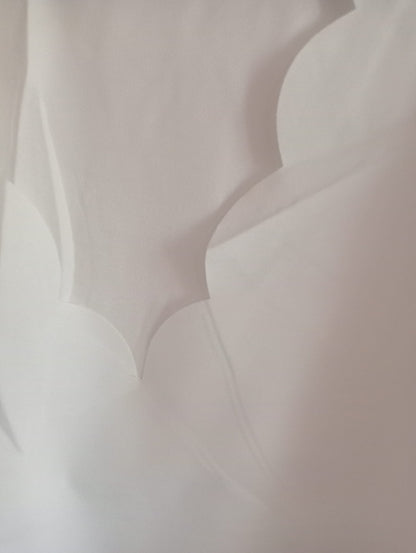 White Scalloped Neckline Blouse with Lace Sleeves