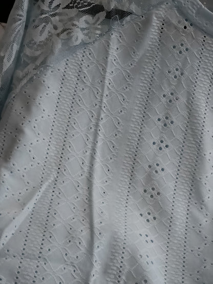 Blue Eyelet Embroidery Lace Raglan Sleeve T Shirt